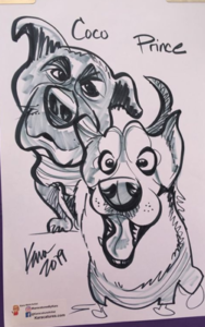 2 dogs pets black and white