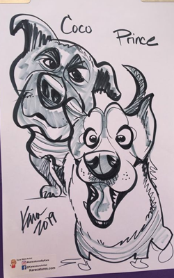 2 dogs pets black and white