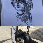 bw pet Winnie